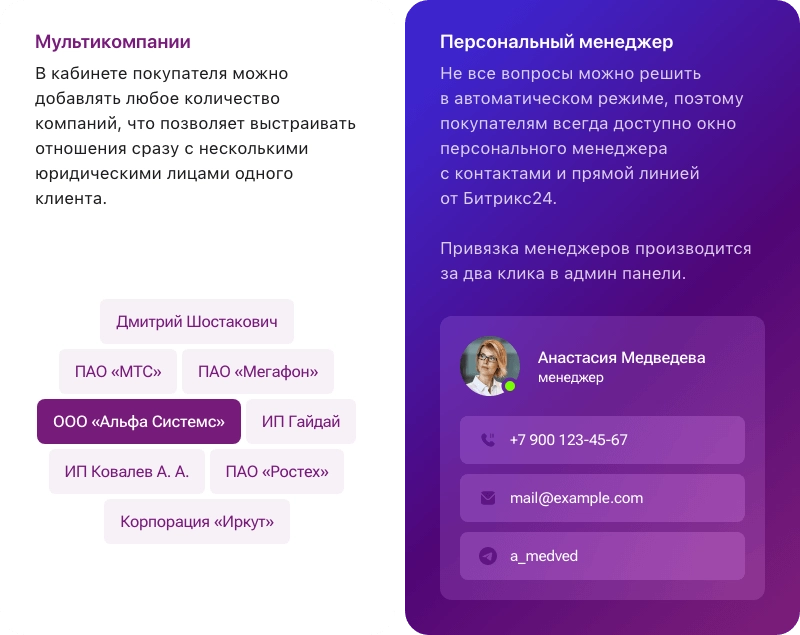 Мультикомпании в Альфа B2B