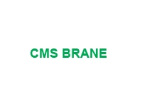 CMS Brane